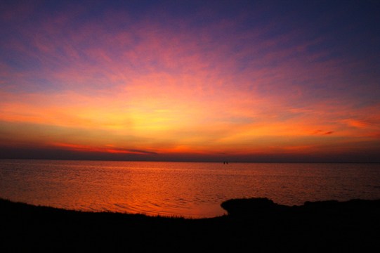 SONY DSC