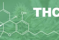 6 Surprising Facts About THC