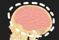 Cannabis and Dopamine