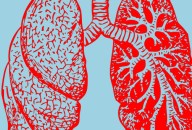 Why Cannabis Doesn’t Increase Lung Cancer Risk