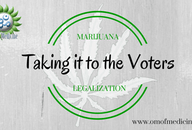 Taking It to the Voters