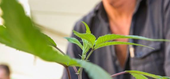 November 20 – DJ Short Cultivation Seminar